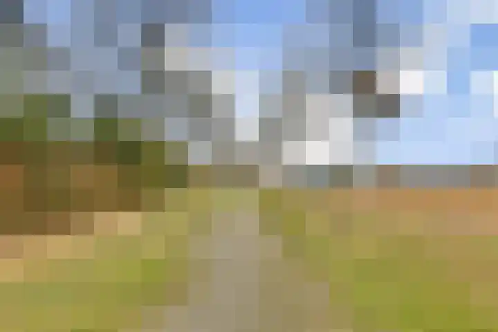Noordmanshof 8 Katwijk thumbnail 23