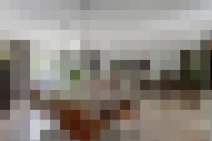Noordmansstraat 24 Ridderkerk thumbnail 10