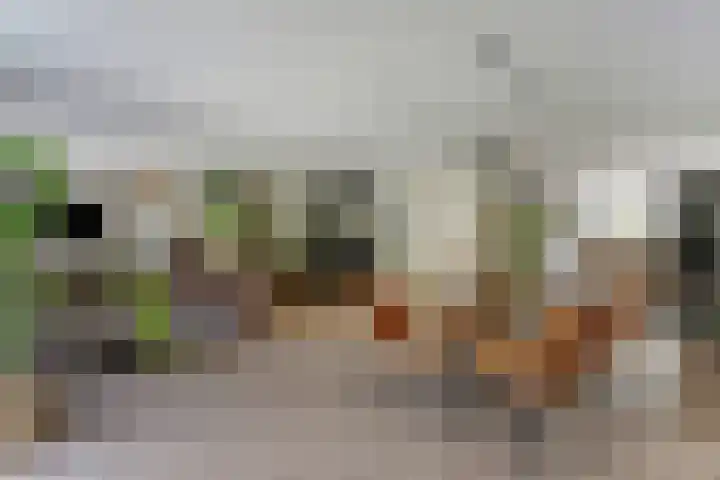 Noordmansstraat 24 Ridderkerk thumbnail 11