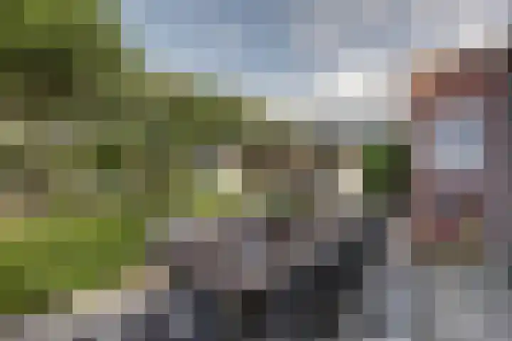 Noordmansstraat 24 Ridderkerk thumbnail 28