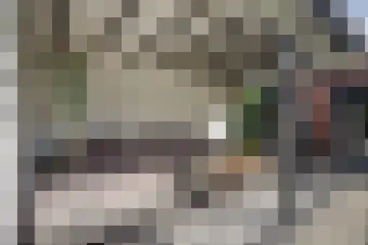 Noordmansstraat 24 Ridderkerk thumbnail 30