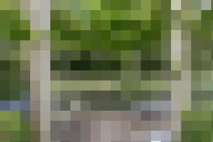Noordmansstraat 24 Ridderkerk thumbnail 32