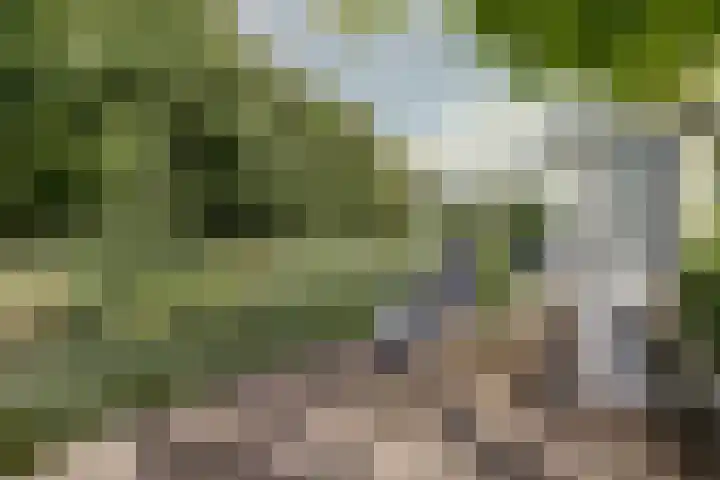 Noordmansstraat 24 Ridderkerk thumbnail 34