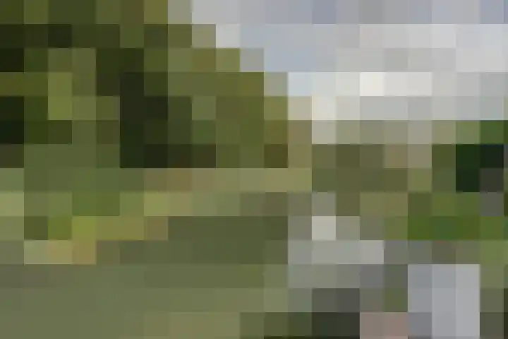 Noordmansstraat 24 Ridderkerk thumbnail 35
