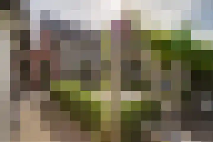 Noordmansstraat 24 Ridderkerk thumbnail 38