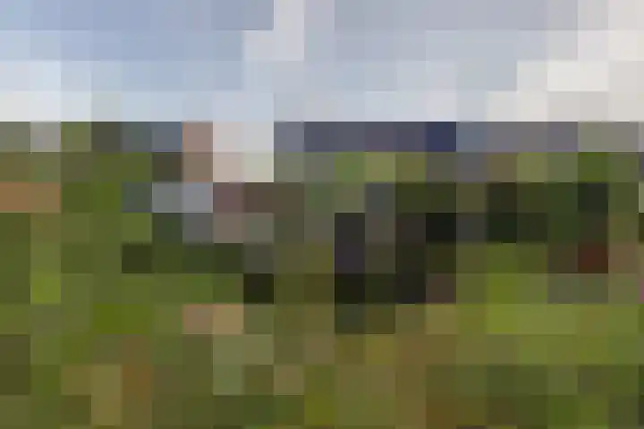 Noordmansstraat 24 Ridderkerk thumbnail 40
