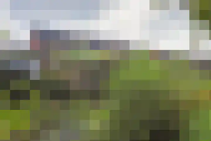 Noordmansstraat 24 Ridderkerk thumbnail 41