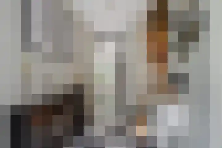 Noordmansstraat 24 Ridderkerk thumbnail 6