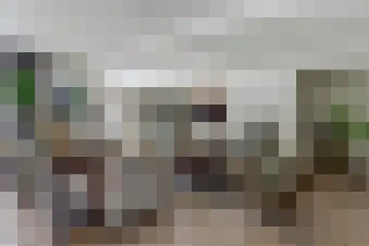 Noordmansstraat 24 Ridderkerk thumbnail 7