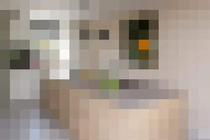 Noordmansstraat 26 Ridderkerk thumbnail 16