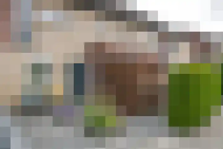 Noordmansstraat 26 Ridderkerk thumbnail 31