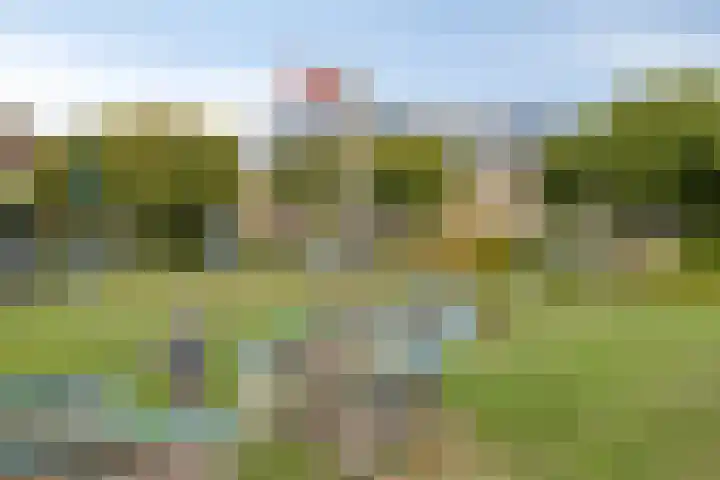Noordmansstraat 27 Ridderkerk thumbnail 30