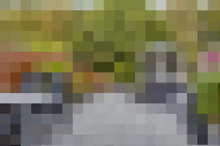 Noordmansstraat 27 Ridderkerk thumbnail 4