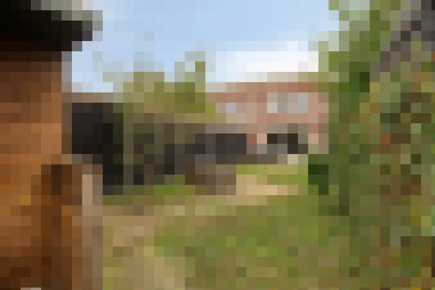 Noordmansstraat 51 Ridderkerk thumbnail 35