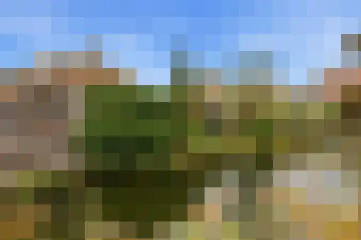 Noordmansstraat 8 Ridderkerk thumbnail 46