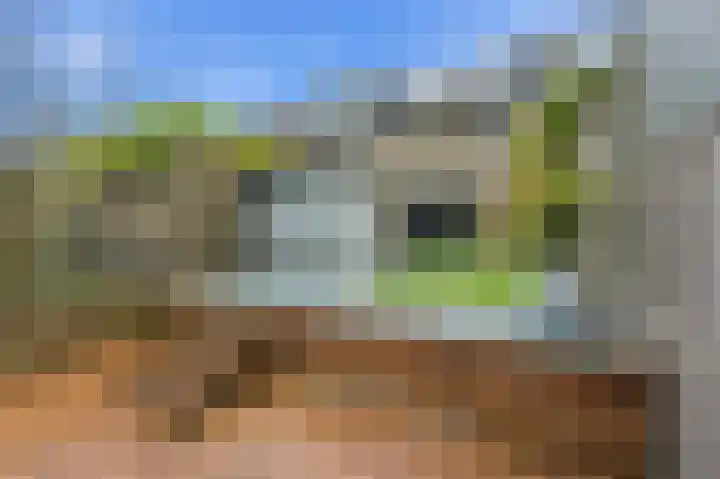 Noordmansstraat 8 Ridderkerk thumbnail 47