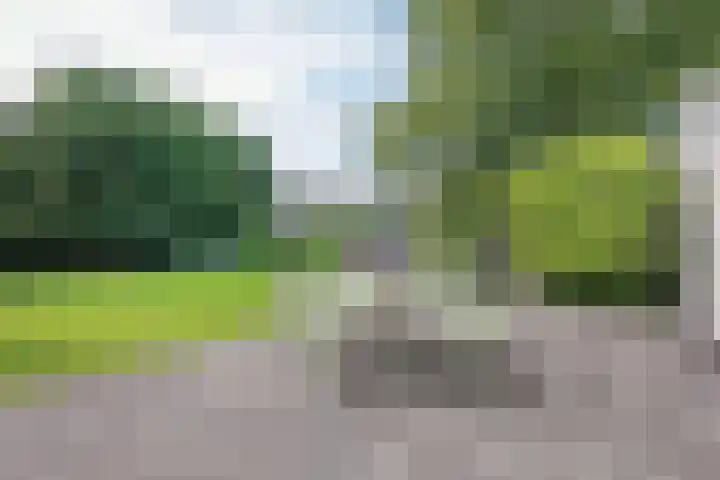 Noordmeerweg 6 A WS Broek in Waterland thumbnail 41