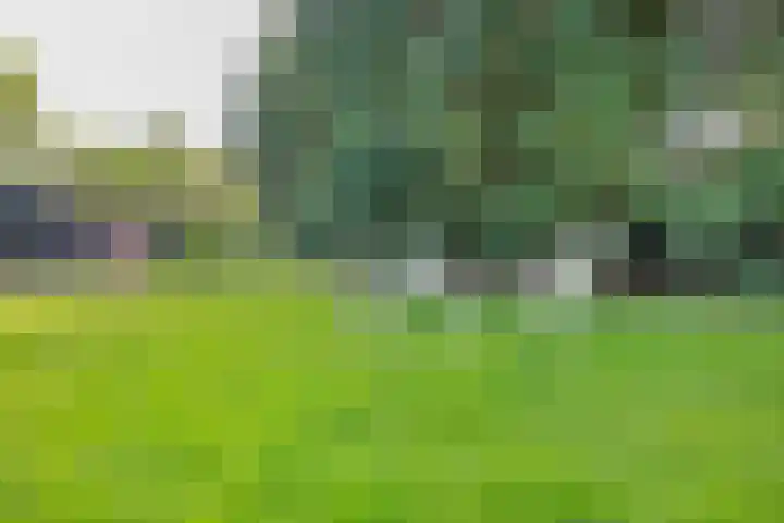 Noordmeerweg 6 A WS Broek in Waterland thumbnail 47