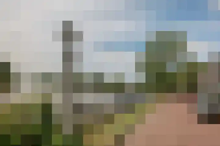 Noordmeerweg 6 A WS Broek in Waterland thumbnail 50