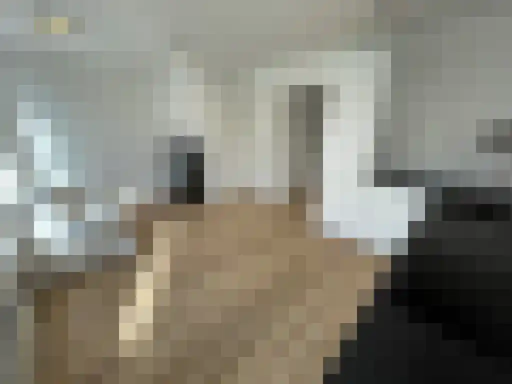 Noordmolenstraat 17 Rotterdam thumbnail 4