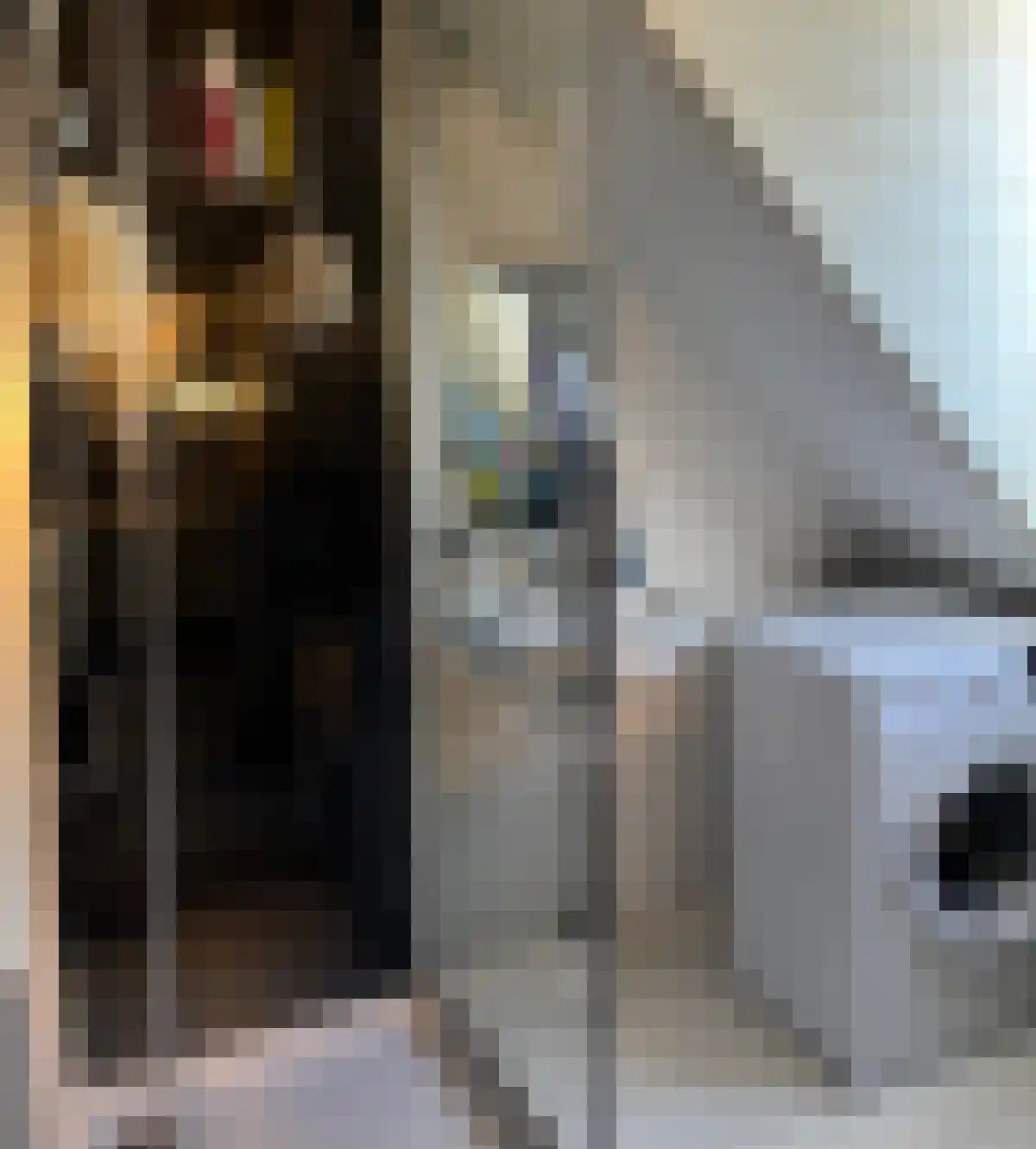 Noordmolenstraat 44 Rotterdam thumbnail 5
