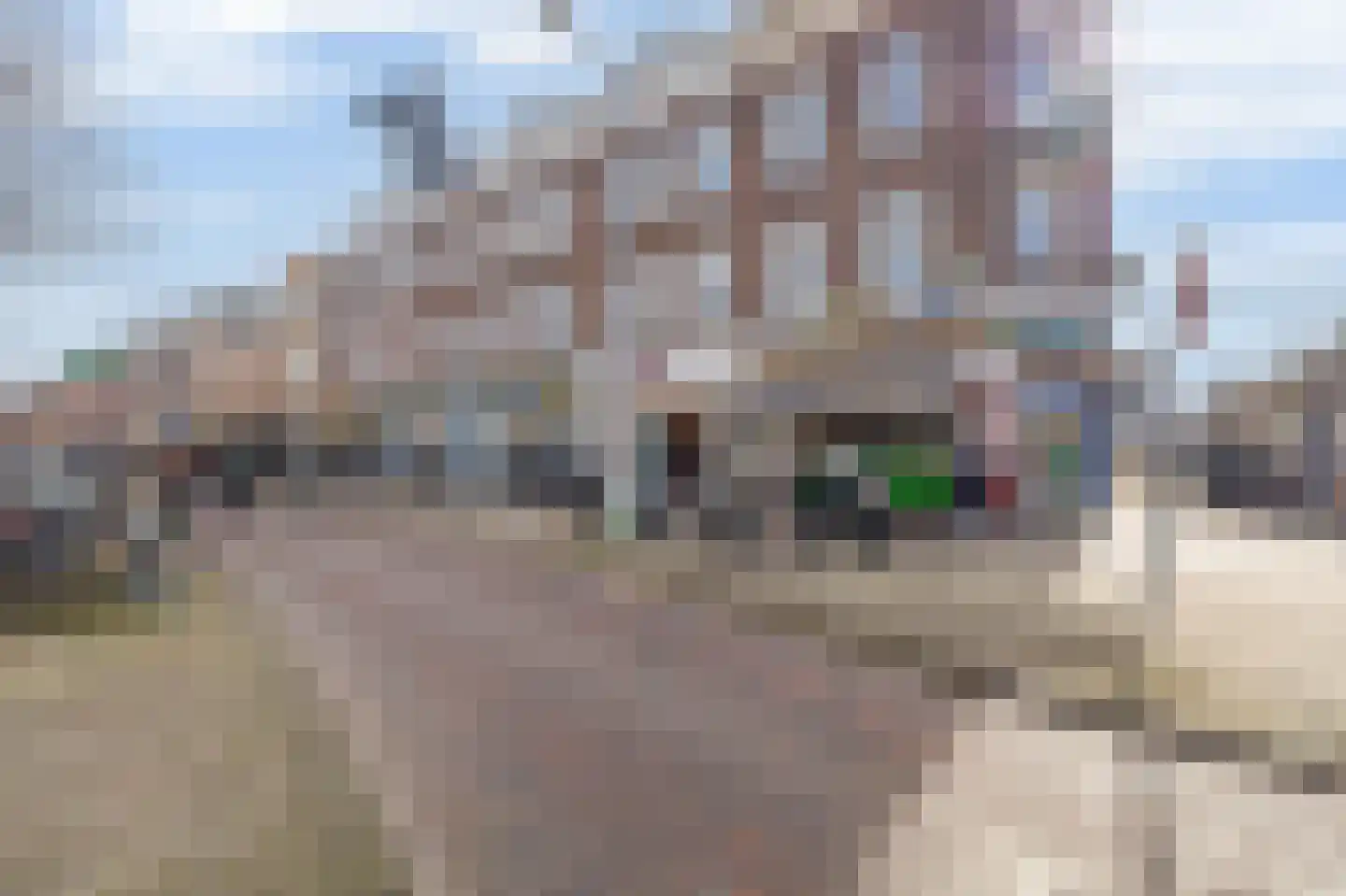 Noordmolenstraat 80 A Rotterdam thumbnail 35