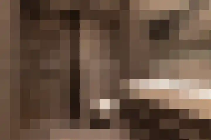 Noordmolenwerf 129 Rotterdam thumbnail 4