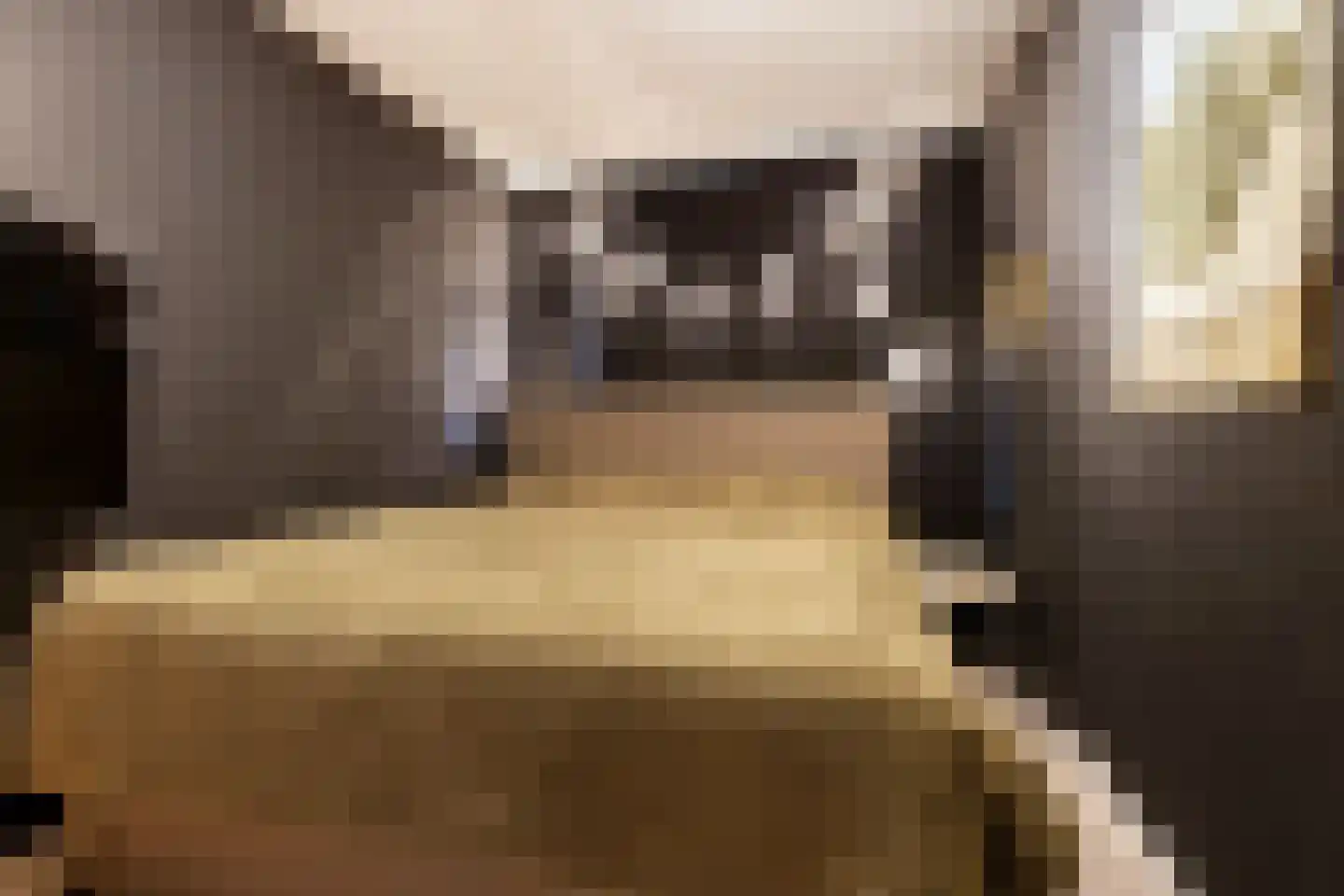 Noordmolenwerf 15 Rotterdam thumbnail 23