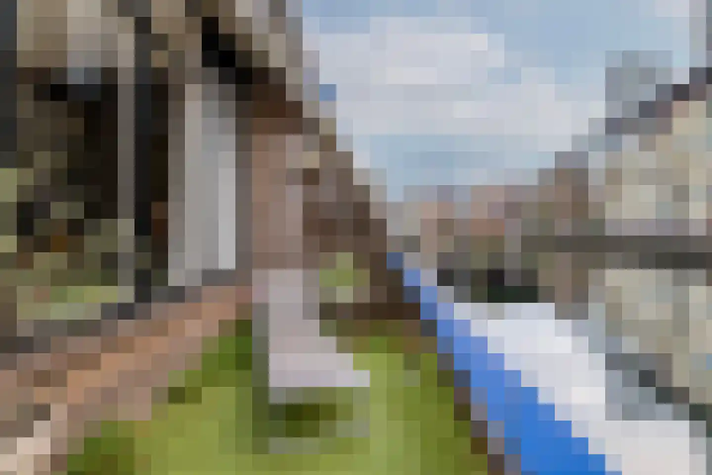 Noordmolenwerf 15 Rotterdam thumbnail 28