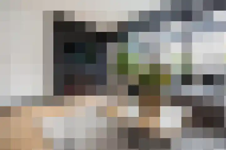 Noordmolenwerf 29 Rotterdam thumbnail 8