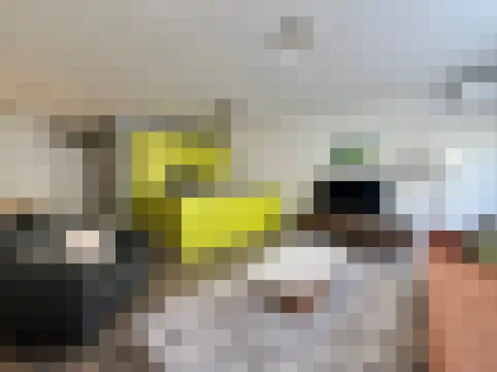 Noordmolenwerf 45 Rotterdam thumbnail 6