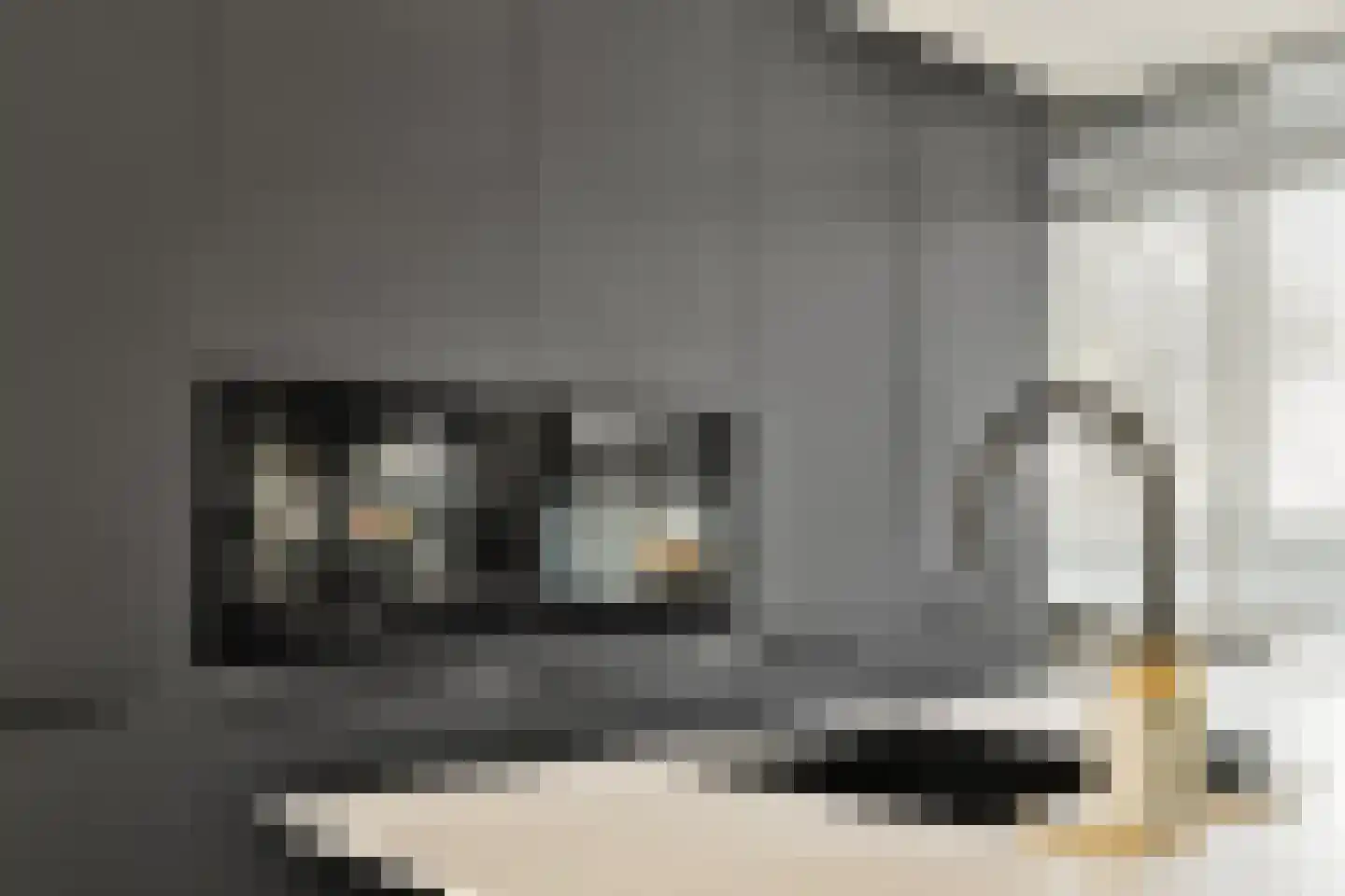 Noordmolenwerf 73 Rotterdam thumbnail 12