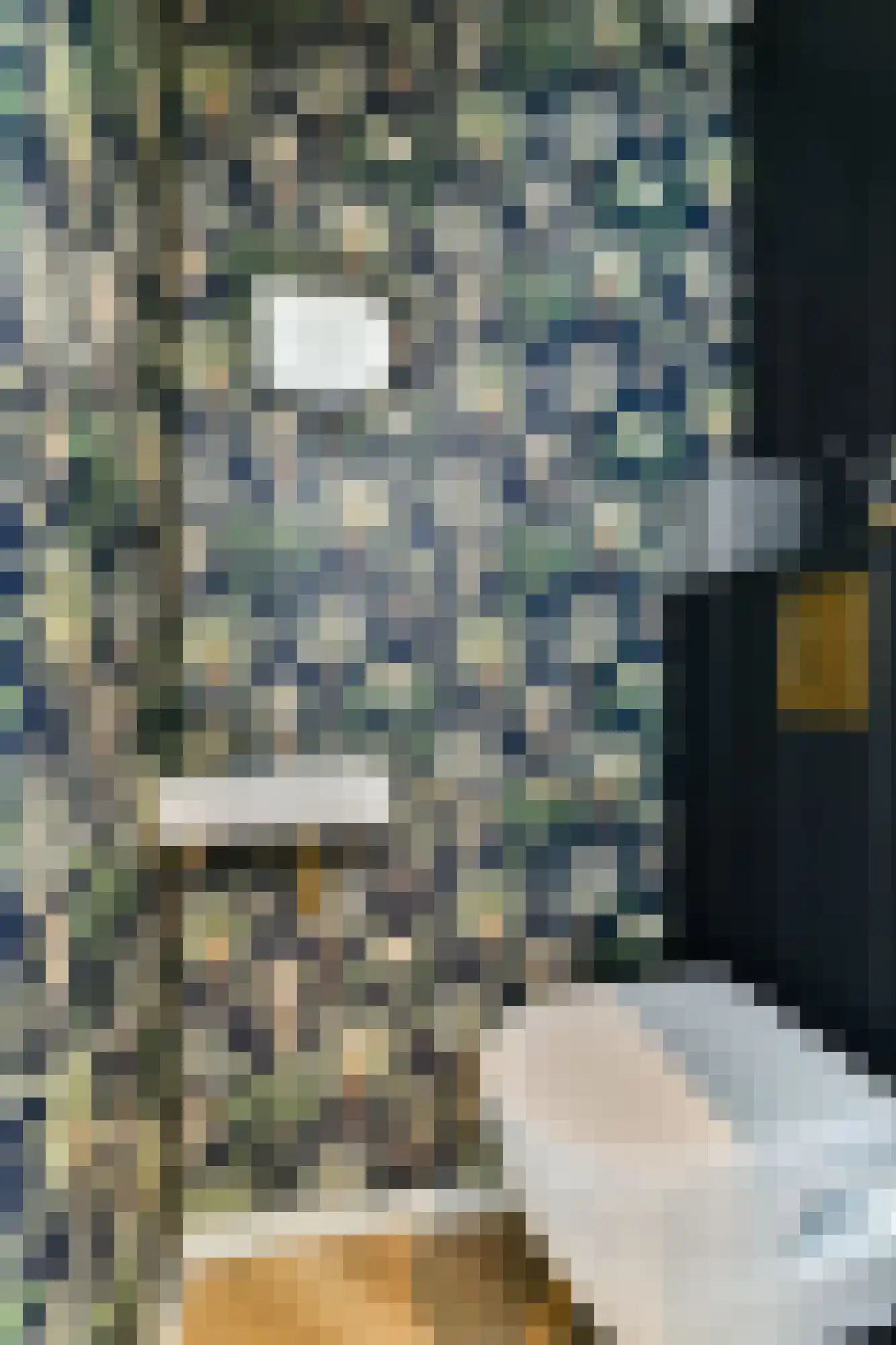 Noordmolenwerf 73 Rotterdam thumbnail 7