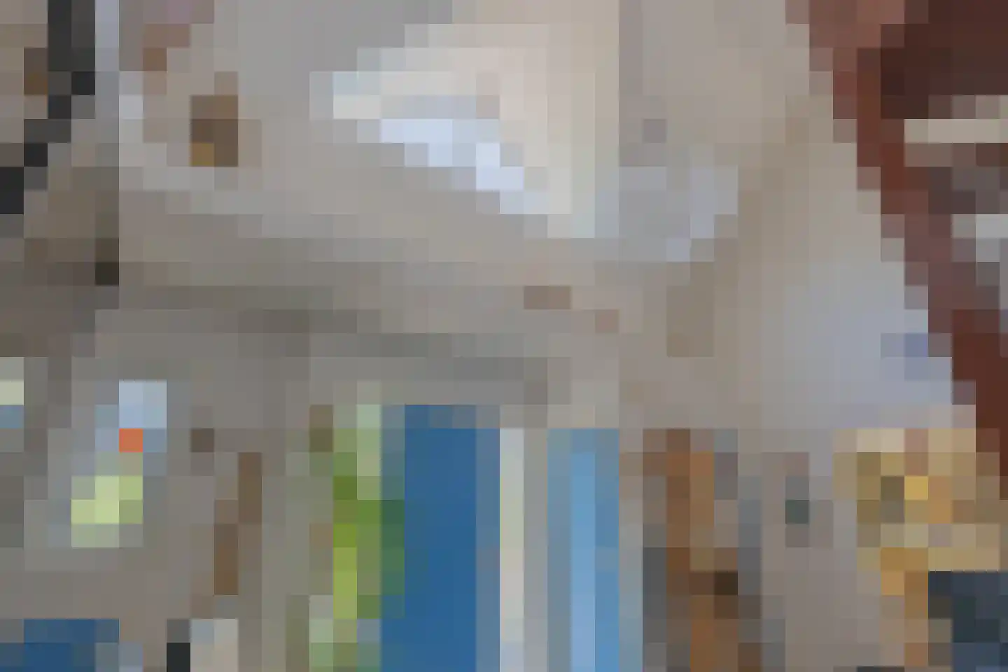 Noordoordplaat 19 Goes thumbnail 38