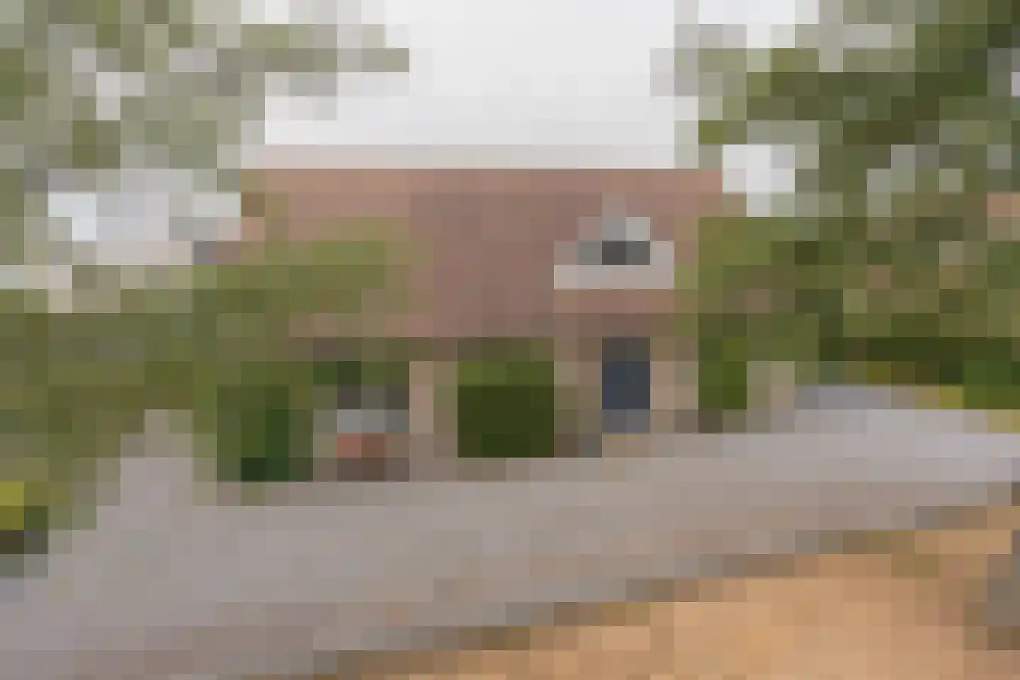 Noordoordplaat 19 Goes thumbnail 4