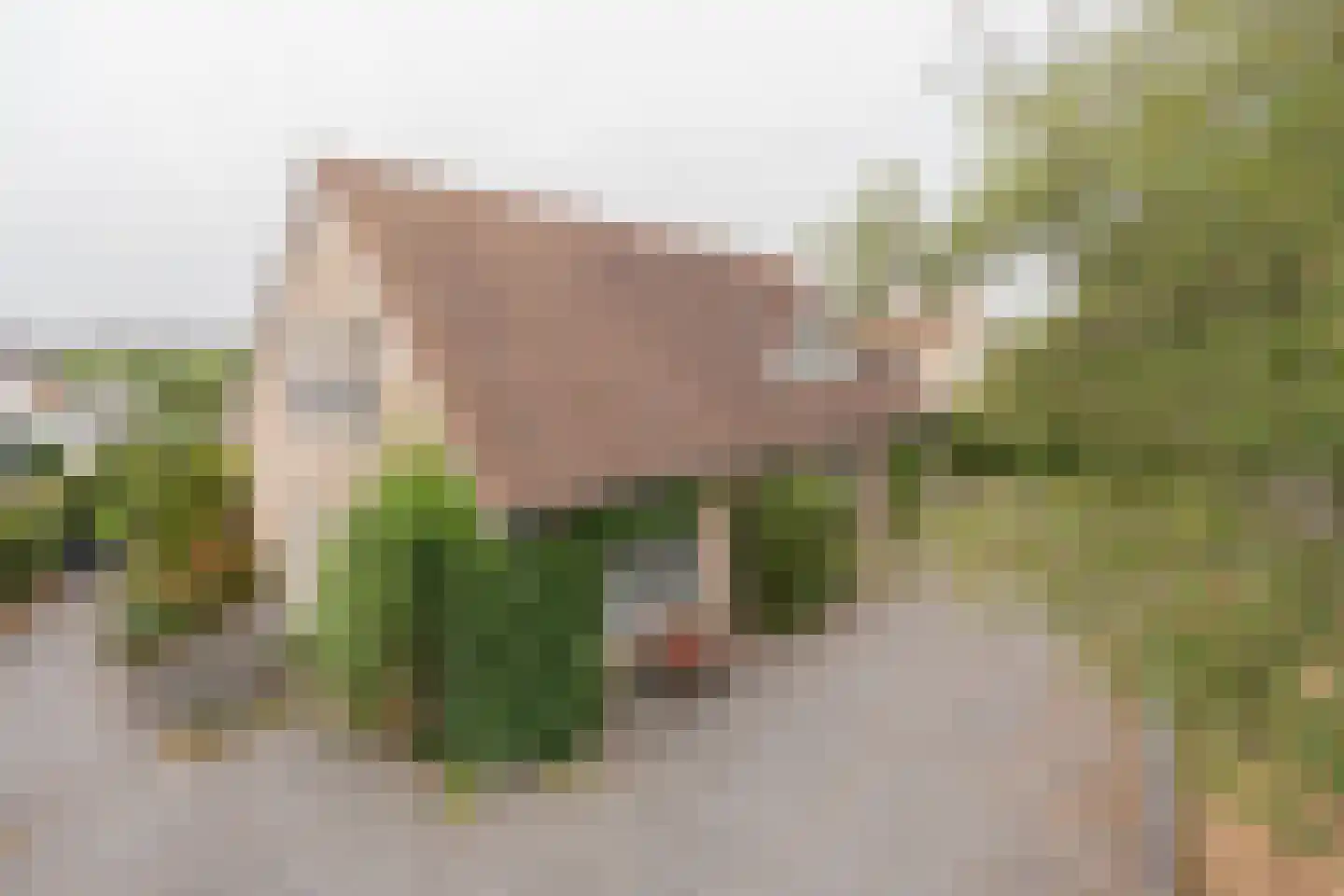 Noordoordplaat 19 Goes thumbnail 5