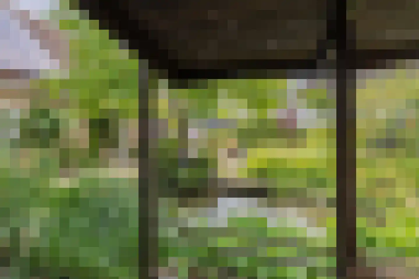 Noordoordplaat 19 Goes thumbnail 68