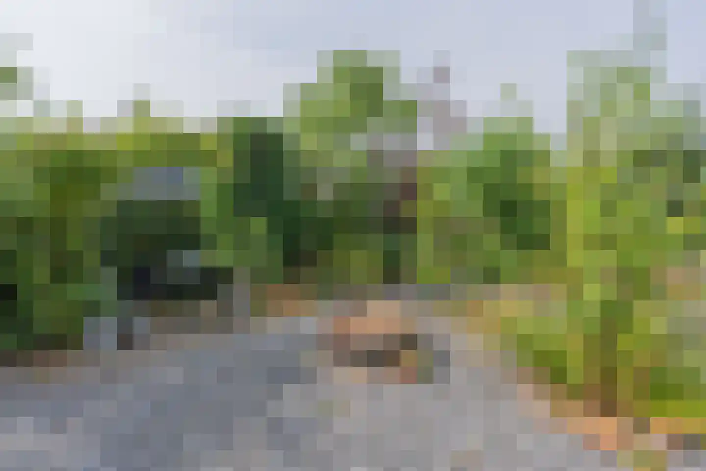 Noordoordplaat 19 Goes thumbnail 71