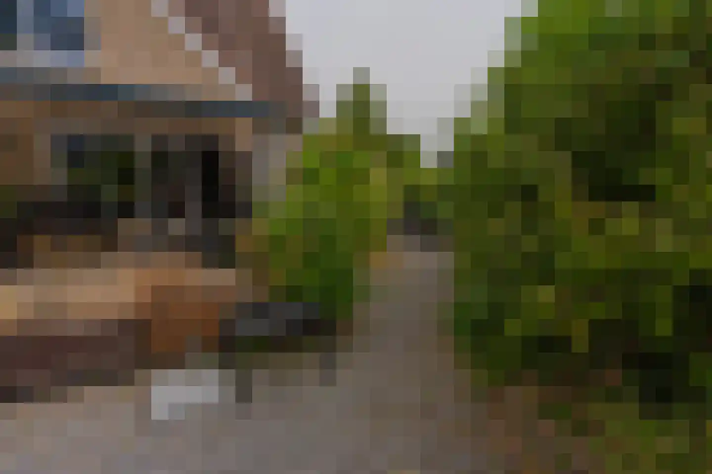 Noordoordplaat 19 Goes thumbnail 83