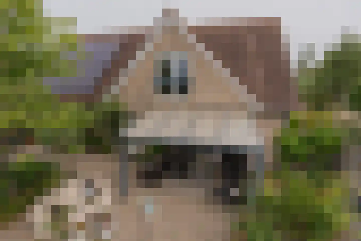 Noordoordplaat 19 Goes thumbnail 84