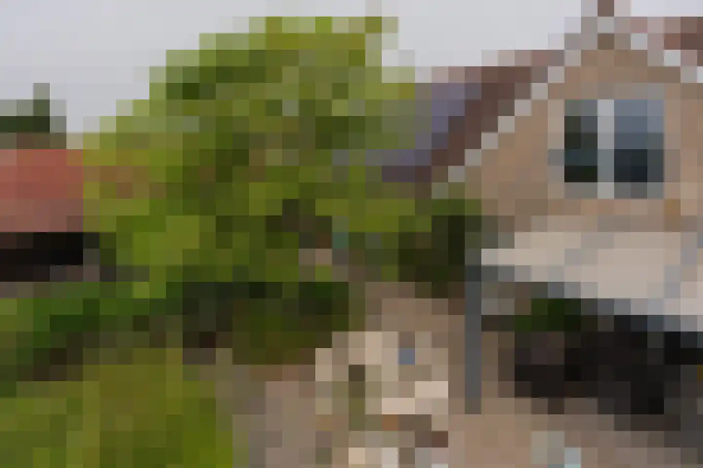 Noordoordplaat 19 Goes thumbnail 85