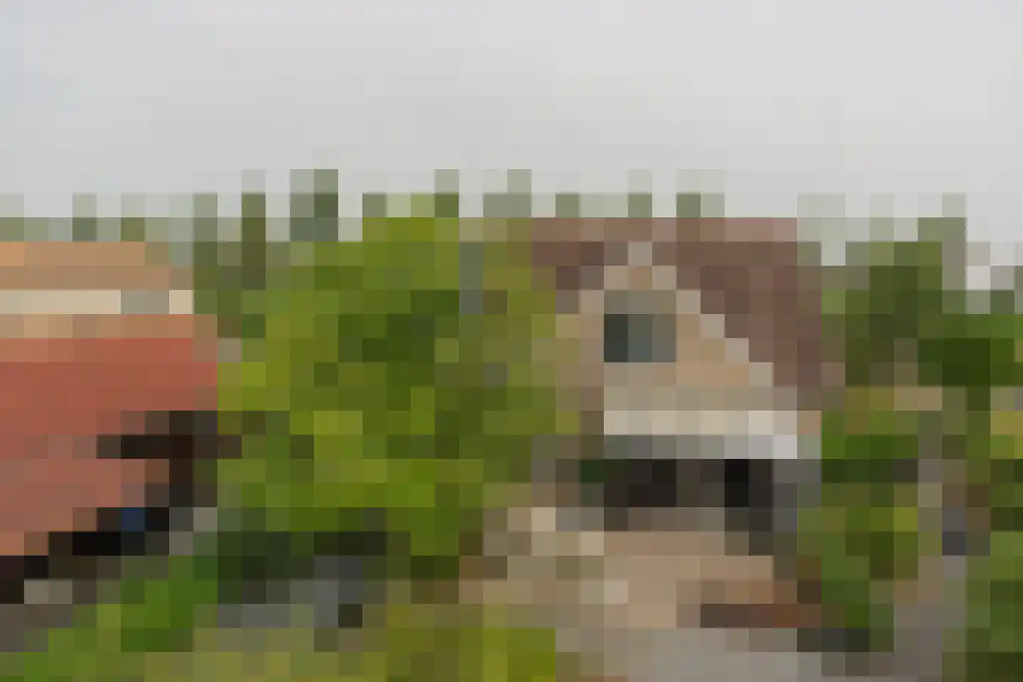 Noordoordplaat 19 Goes thumbnail 87