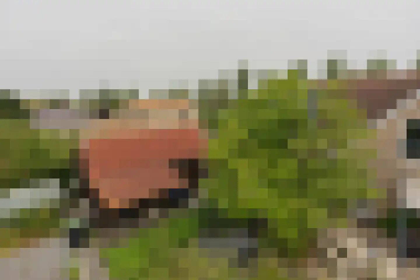 Noordoordplaat 19 Goes thumbnail 88