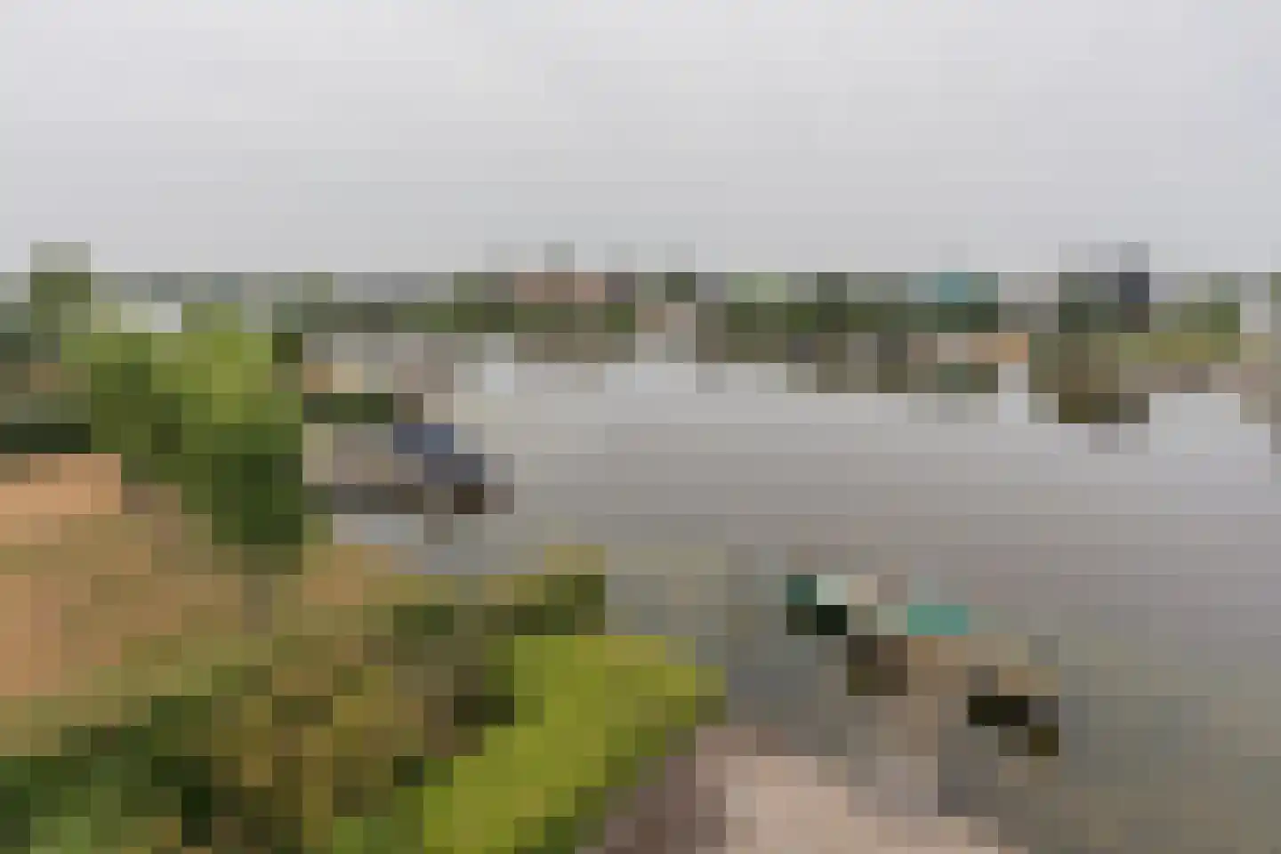 Noordoordplaat 19 Goes thumbnail 93