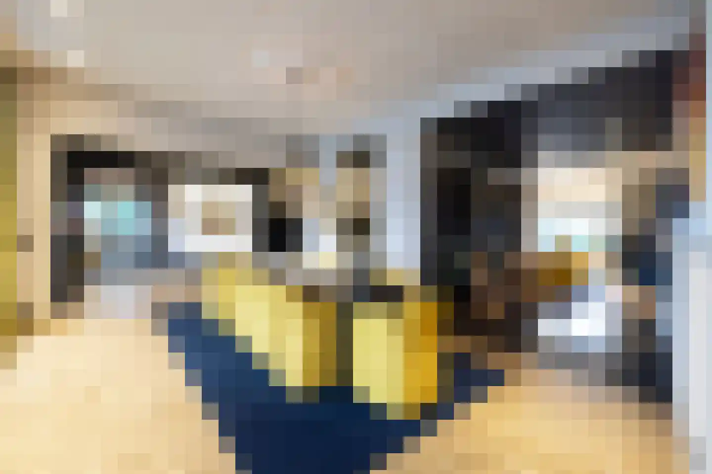 Noordoordplaat 34 Goes thumbnail 9