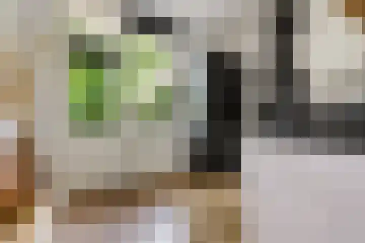 Noordpad 44 Arnhem thumbnail 11