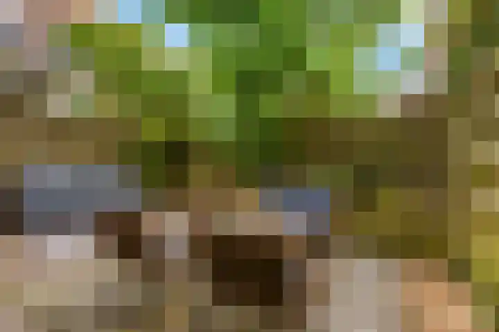 Noordpad 44 Arnhem thumbnail 12