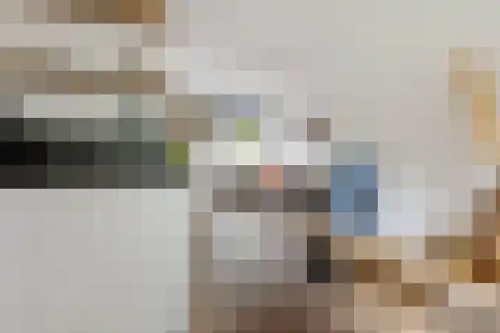 Noordpad 44 Arnhem thumbnail 16