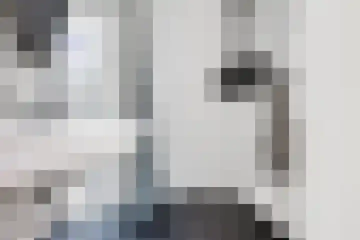 Noordpad 44 Arnhem thumbnail 17