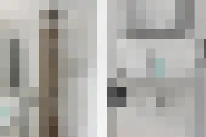 Noordpad 44 Arnhem thumbnail 18